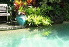 O connor QLDswimming-pool-landscaping-3.jpg; ?>
